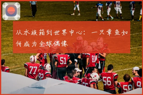 从水族箱到世界中心：一只章鱼如何成为全球偶像