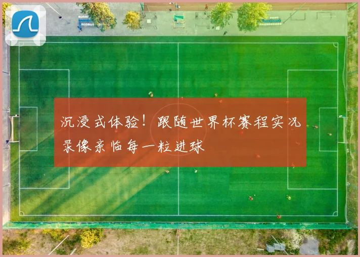 沉浸式体验！跟随世界杯赛程实况录像亲临每一粒进球